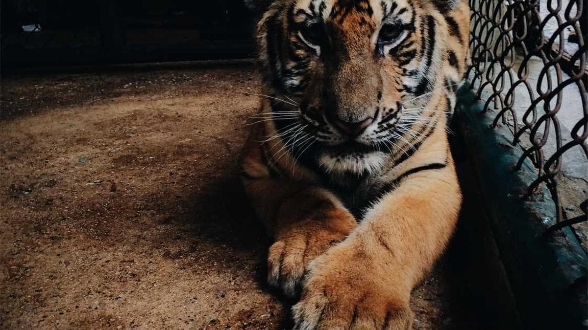 Havacılık, Kalıpçılık ve Otomotiv Sektörlerindeki Kritik Rolü